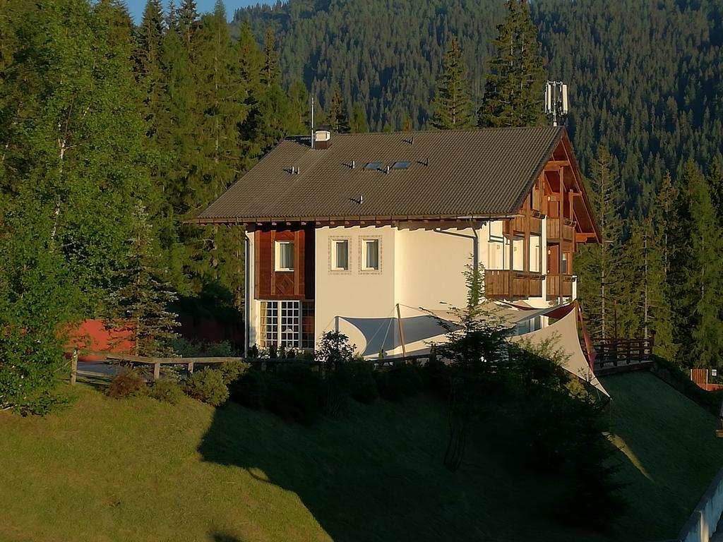 Hotel Ca' Del Bosco Сельва-ді-Кадоре Екстер'єр фото