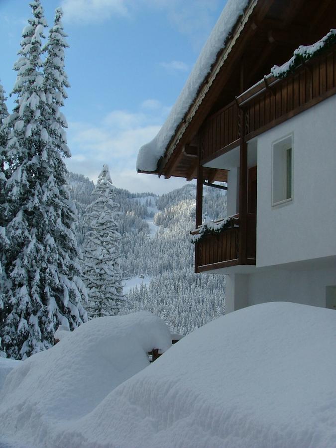 Hotel Ca' Del Bosco Сельва-ді-Кадоре Екстер'єр фото